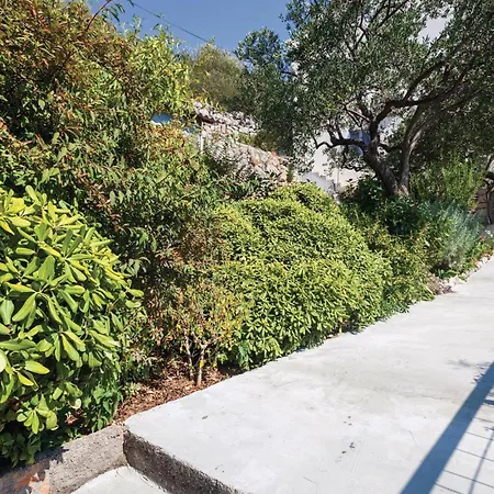 Veliki With Sea View 12 Apartament Zaton (Dubrovnik-Neretva)