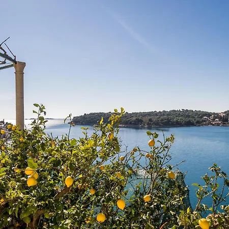 Veliki With Sea View 12 Lägenhet Zaton (Dubrovnik-Neretva)